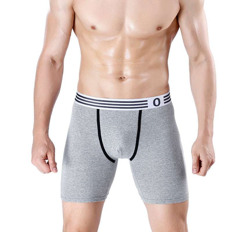 Comfort Cotton Underwear, Convex Boxer Briefs, Extended Length Boxers - available at Sparq Mart