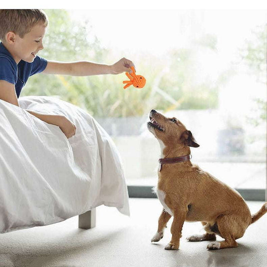 Bite-Resistant Dog Toy, Interactive Chew Toy - available at Sparq Mart