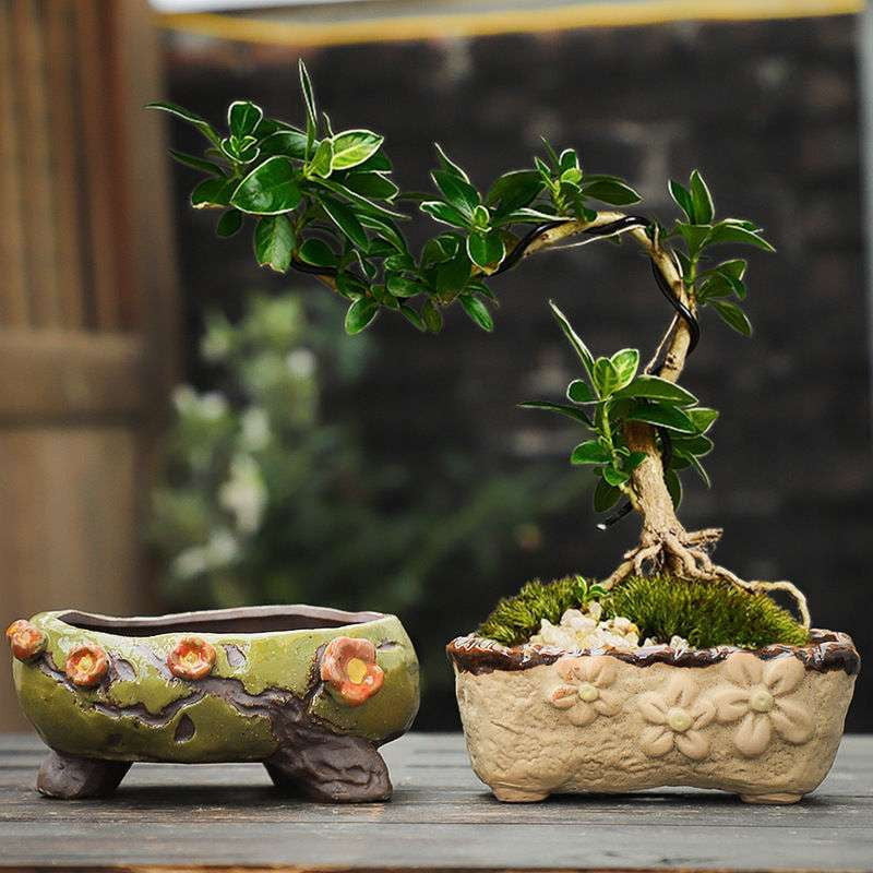 Creative Planter Sets, Decorative Flower Pots, Indoor Plant Pots - available at Sparq Mart