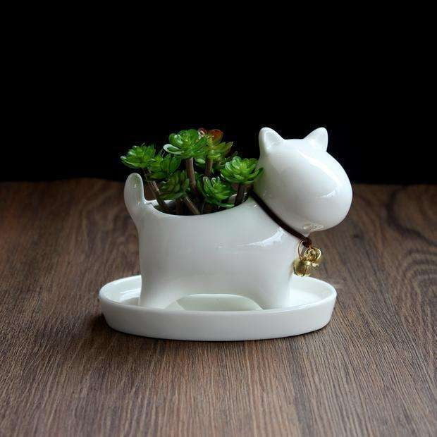 desktop succulent planter, indoor ceramic pot, small potted plant - available at Sparq Mart